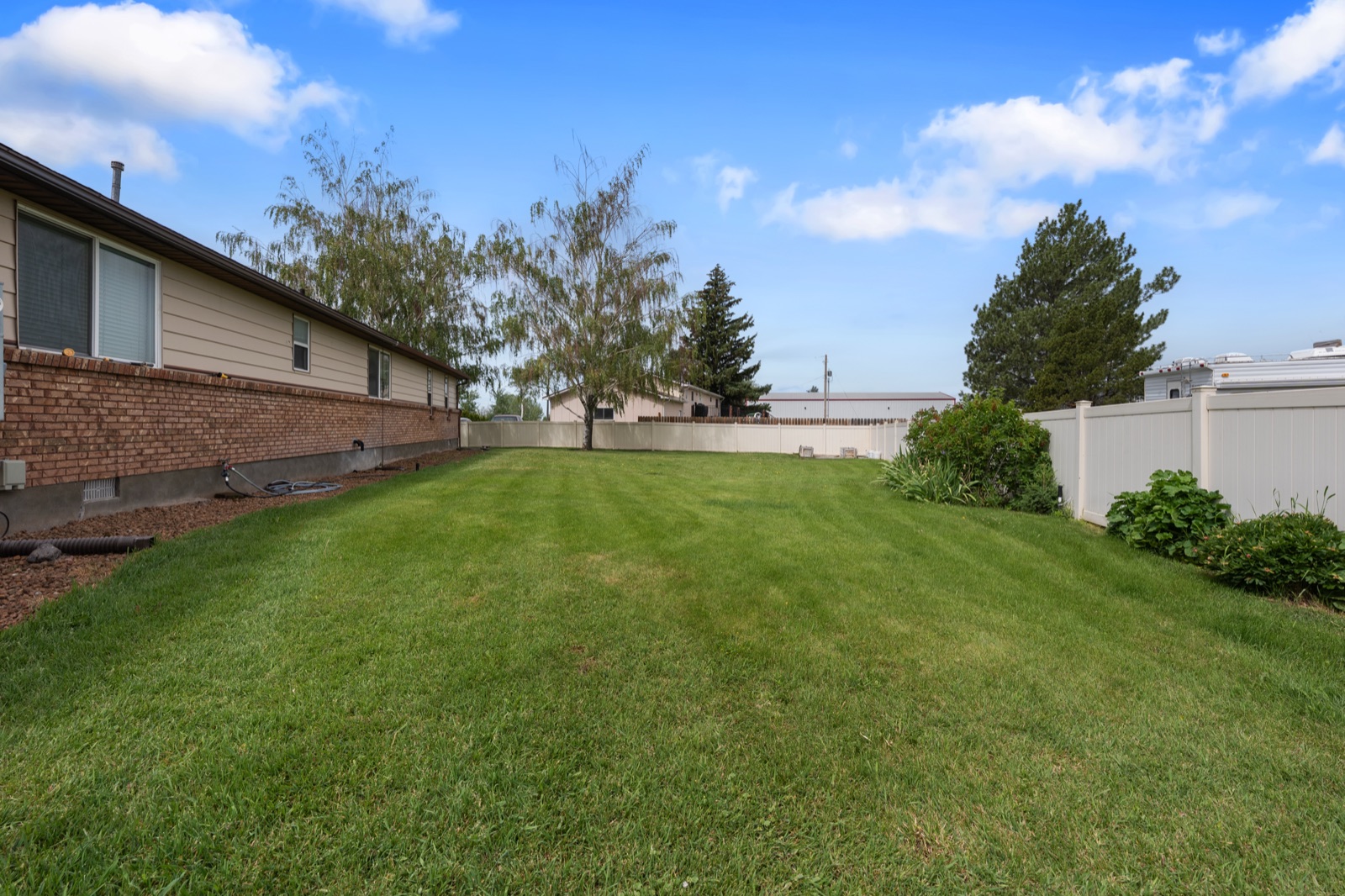 Fully fenced backyard with established lawn and mature trees